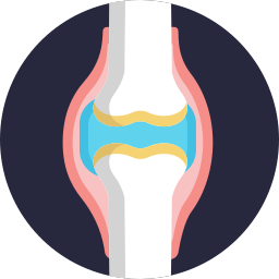 Bone Muscle & Joint Complaint